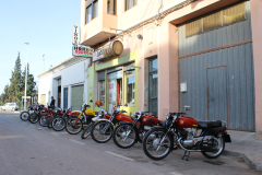 CludClassicCasinos50
